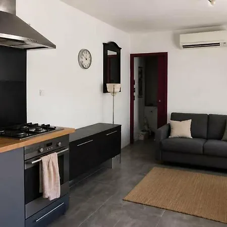 Location Maison Climatisée Avec Jardin Arboré Et Barbecue * Villeneuve-lès-Avignon