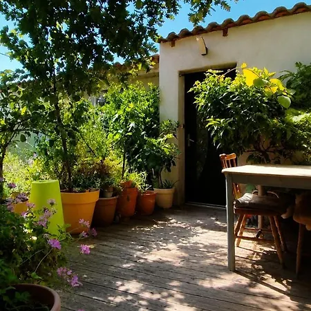 Location Maison Climatisée Avec Jardin Arboré Et Barbecue